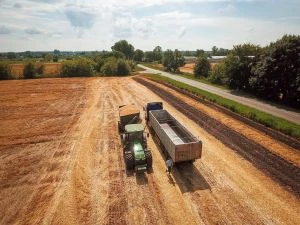 Прогноз врожаю зерна: очікується рекордний збір
