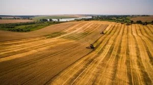 Астарта завершила жнива: рекорди врожайності на Вінниччині